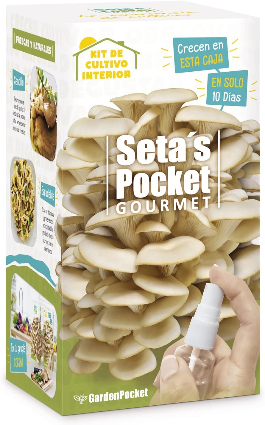 SETAS POCKET - Kit de SETAS AUTOCULTIVO - Cultivar setas en casa en solo 10 días.